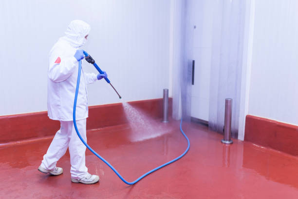 Best Concrete Surface Cleaning in Carolina Beach, NC