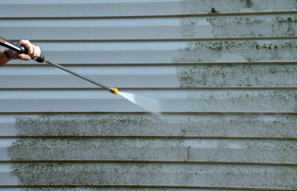 Best Roof Cleaning and Mildew Removal in Carolina Beach, NC
